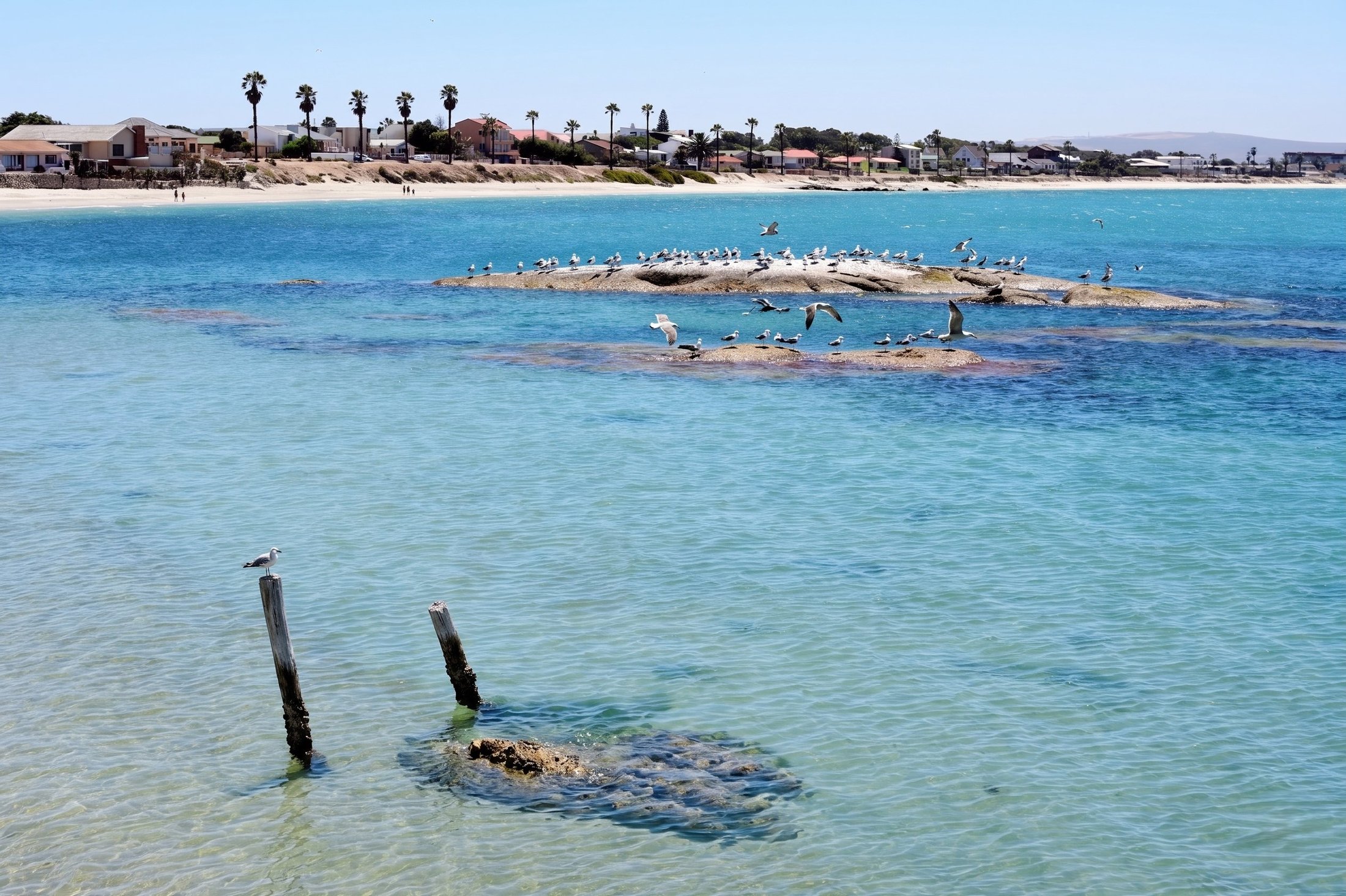 Hoedjiesbaai foreshore at Saldanha, the bay below the estate